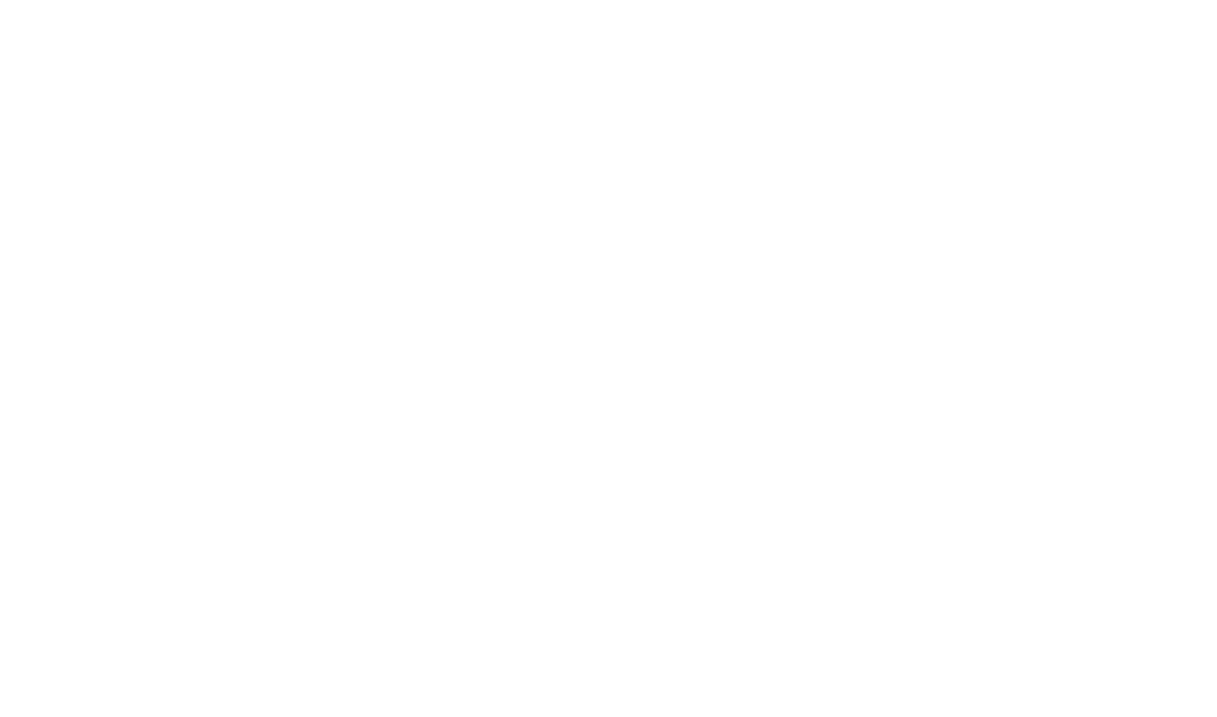 repostechnik.eu - Problematika přepětí a monitoring IT sítí, revize a údržba el. zařízení